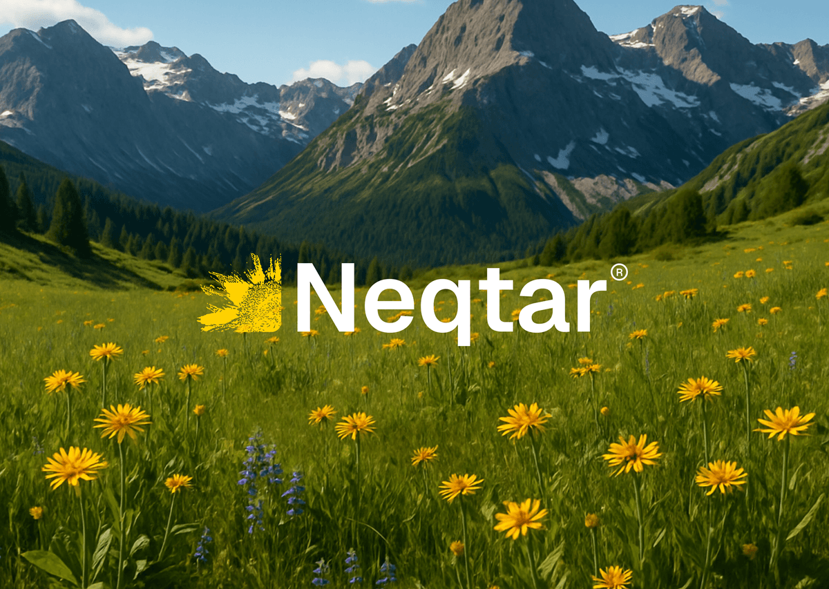 Neqtar interface